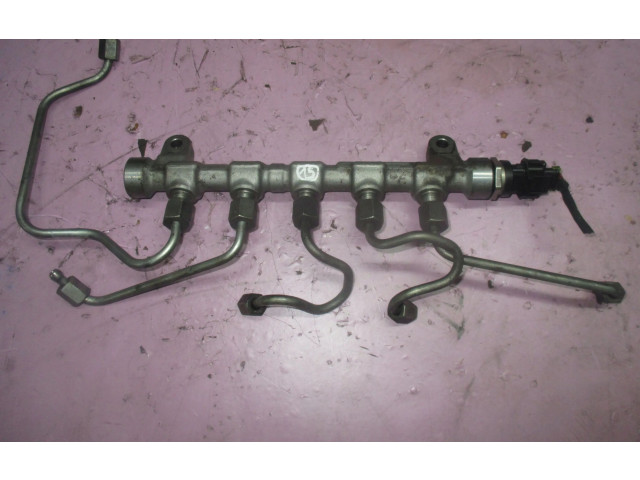 Vstřikovací lišta 0445214181, 314002A420   KIA Soul     