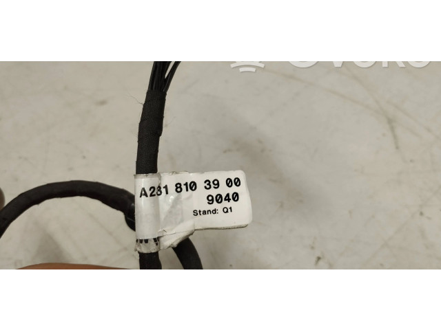 Vstřikovací čerpadlo A2318103900   Mercedes-Benz SL R231     