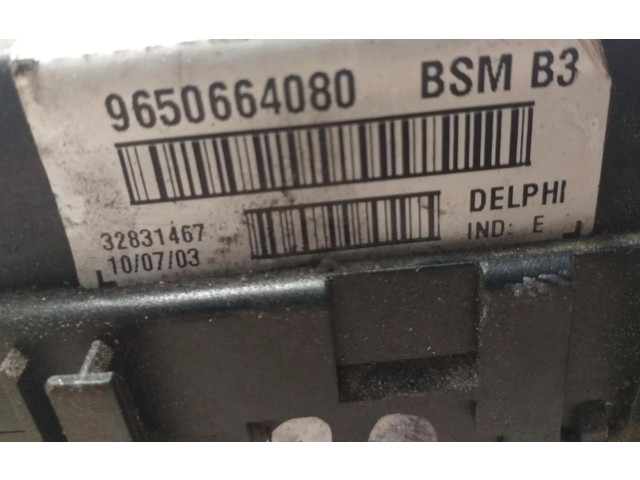 Zpětné zrcátko  Peugeot 406   9650664080  