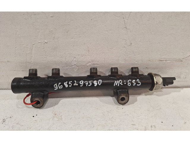 Vstřikovací lišta 9685297580   Peugeot Partner     