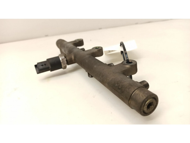 Vstřikovací lišta 0445214019, 010831   Peugeot 307  pro naftový motor 2.0  