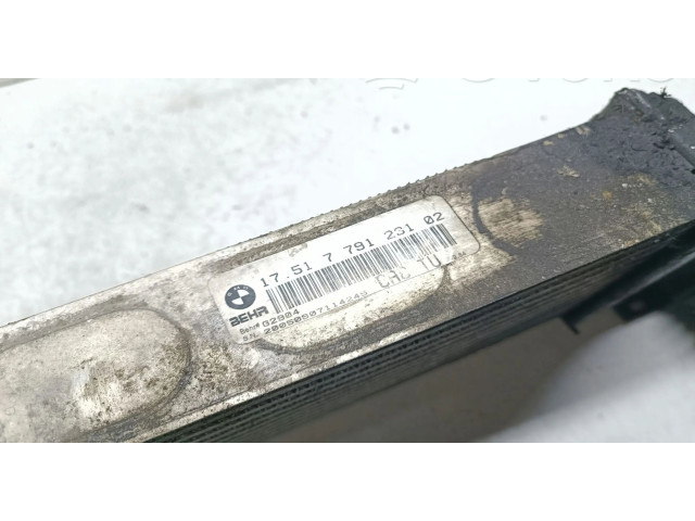 Vstřikovač 2247966, 51224796602   BMW X5 E53     