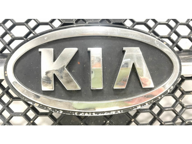 Передняя решётка KIA Sorento 2002-2009 года 863503E010      