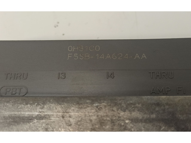 Řídící jednotka 1R3F12A650DC, F5SB14A624AA   Ford Mustang IV 2000