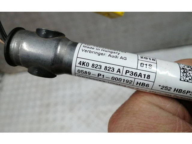 Řídící jednotka 4K0823823A, P36A18   Audi A6 S6 C8 4K 2019