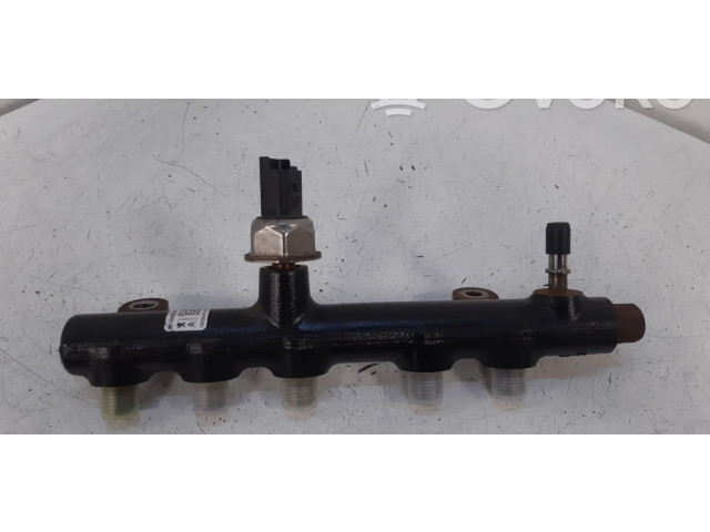 Vstřikovací lišta 9674300080   Ford Kuga II    T7MA 