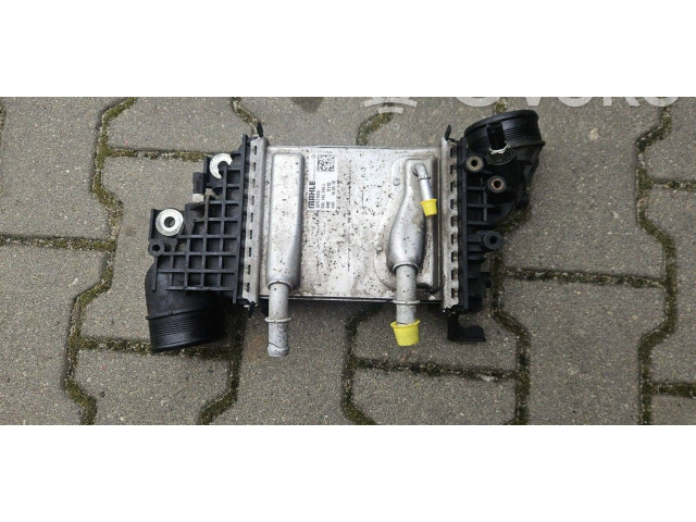 Интеркулер  04L145749L, V110   Volkswagen Transporter - Caravelle T6 