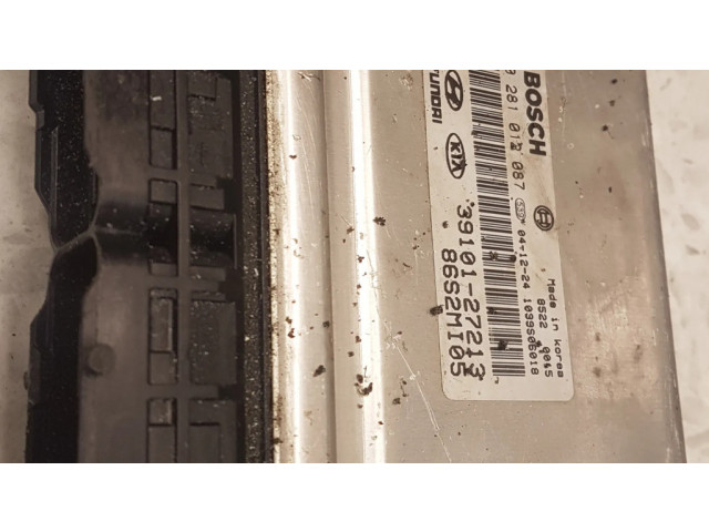 Řídící jednotka 0281012087, 3910127213   Hyundai Santa Fe 2007
