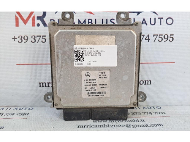 Řídící jednotka A6519007500, A6519007500   Mercedes-Benz E W212 2009