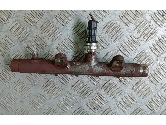 Топливная рампа 8200704217, 8200704212   Nissan Juke I F15  