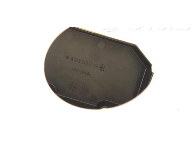   Pojistková skříňka A2225405729   Mercede-Benz S W222 2018