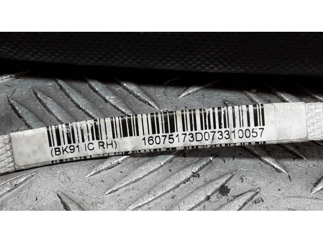 Боковая подушка безопасности 748553800217, FC096D282   Renault Laguna III
