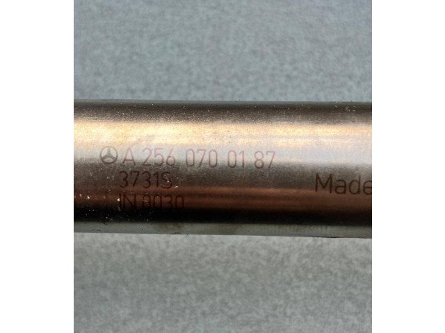 Vstřikovač A2560700187   Mercedes-Benz C W205    M 274.920 
