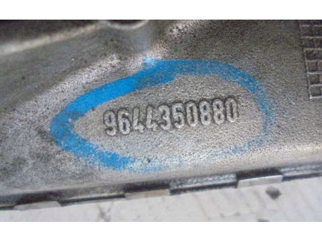 Řídící jednotka 9644350880   Peugeot 307 2007