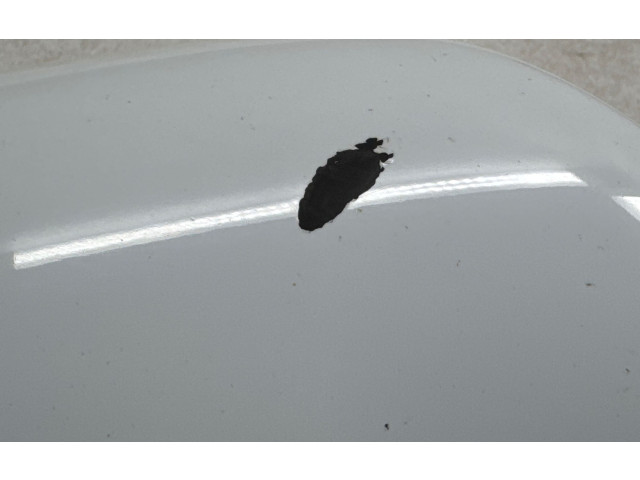 Zpětné zrcátko  Tesla Model S 2014  027558, A053152  