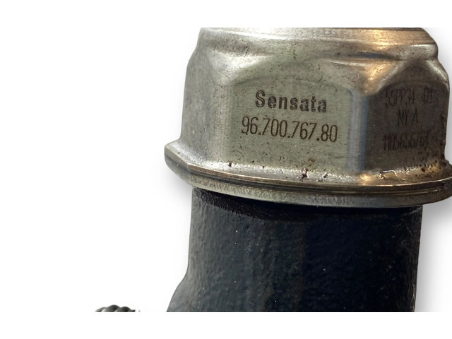 Топливная рампа 968529758002   Peugeot 207   для двигателя 9HP (DV6DTED)