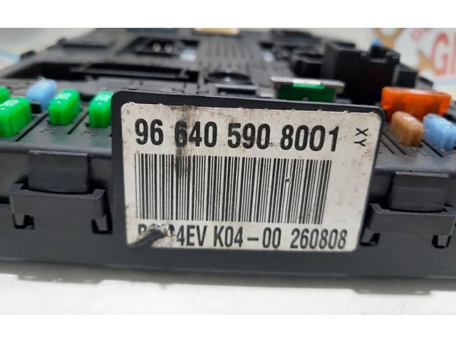   Pojistková skříňka 966405908001, 157290   Peugeot 407 2009