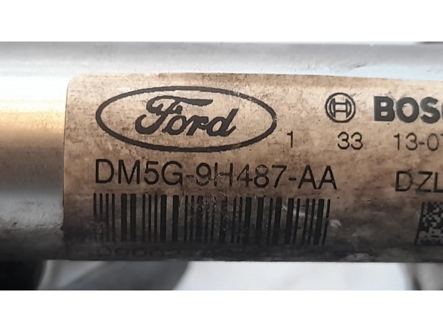 Топливная рампа DM5G9H487AA, 0261545039   Ford Fiesta 1.0  для двигателя SFJB