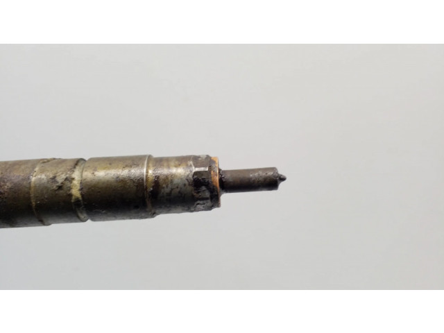 Vstřikovač 0445110340   Citroen C4 II  pro naftový motor 1.6  