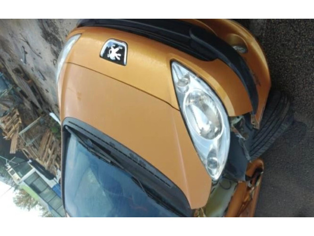 Řídící jednotka 1940JW, 1940JW   Peugeot 1007 2005