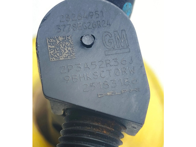Форсунка 25183186, 28264951    Opel Antara   