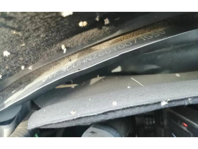   Pojistková skříňka 1611785780, 1611785780   Peugeot 2008  2016