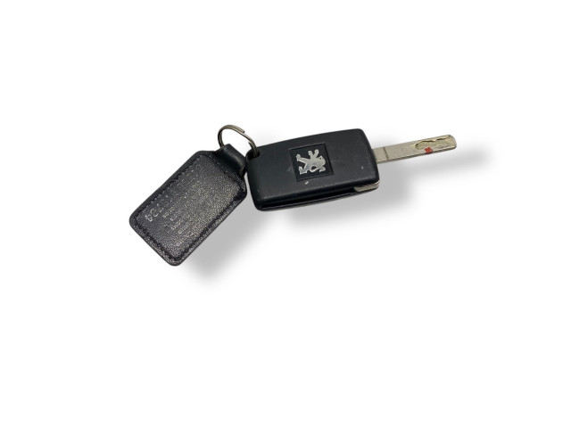 Řídící jednotka 9666266580, R0413C021B   Peugeot 407 2010