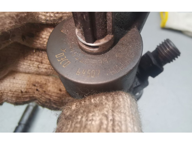 Vstřikovač 0445110239   Peugeot 407     