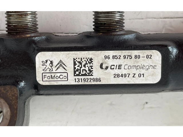 Vstřikovací lišta 968529758002, 8H01   Citroen C3     