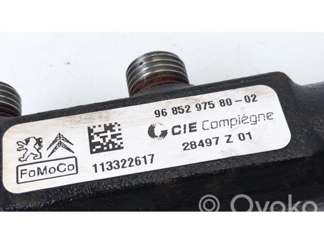 Vstřikovací lišta 9685297580   Citroen C3  pro naftový motor 1.4  