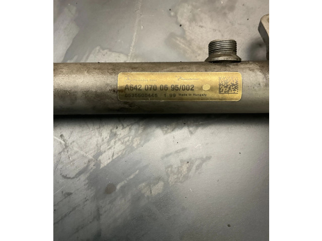 Vstřikovací lišta A6420700695, 0535500446   Mercedes-Benz R W251     