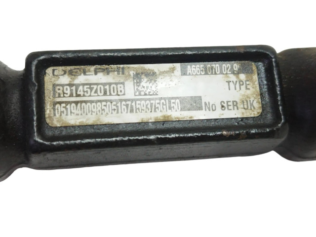 Vstřikovací lišta A6650700295, R9145010B   SsangYong Rexton I    D27DT 