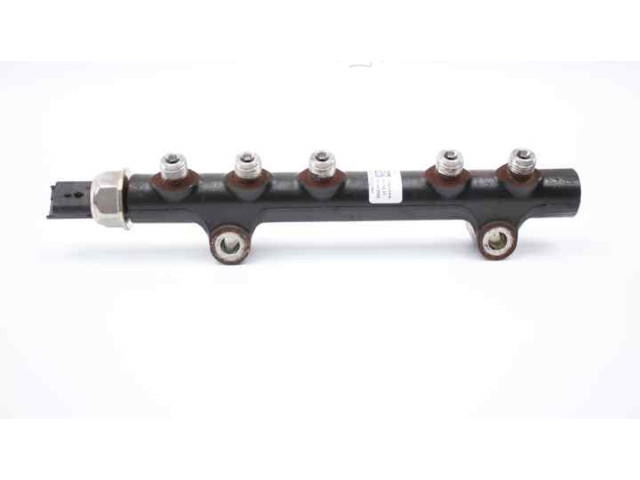 Vstřikovací lišta 9685297580, 9670076780   Peugeot 308     