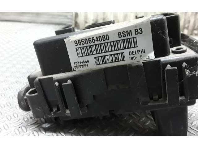   Pojistková skříňka 9650664080   Peugeot 307 2001