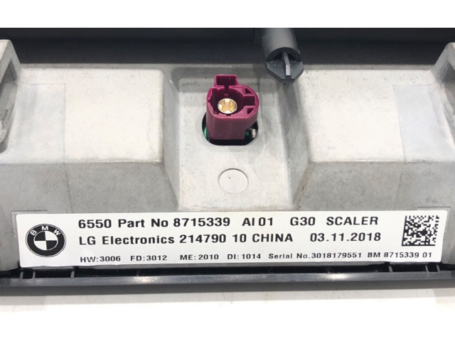Дисплей    8715339   BMW 5 G30 G31