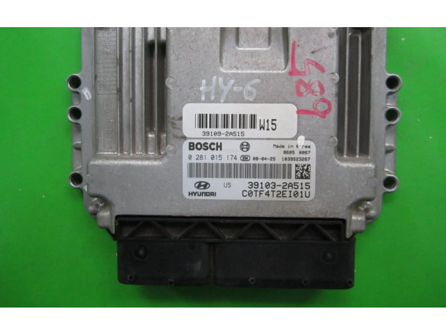 Блок управления двигателем Блок управления 39103-2A515, 0281015174   Hyundai Getz