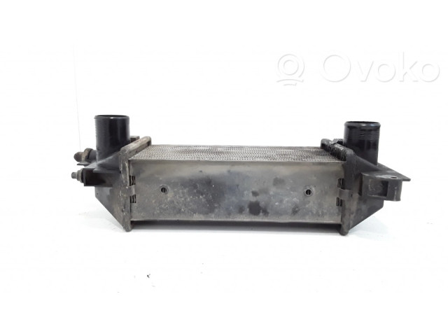 Интеркулер     Land Rover Freelander 2.0