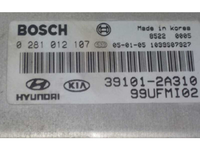 Řídící jednotka 391012A310, 0281012107   Hyundai Matrix 2005