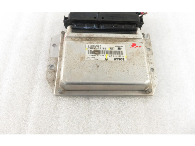 Řídící jednotka 3910127250, 0281010315   Hyundai Santa Fe 2001