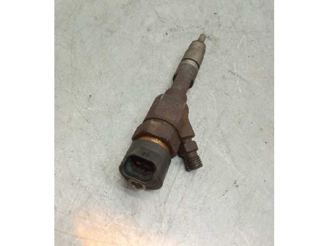 Vstřikovač 0445110110A, 8200100272   Renault Megane II     