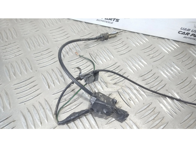 Radio antena