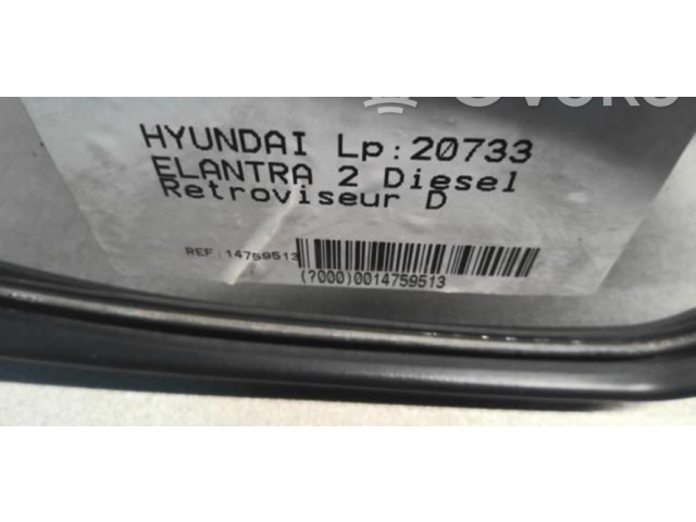 Zpětné zrcátko  Hyundai Elantra 2004  876202D550  