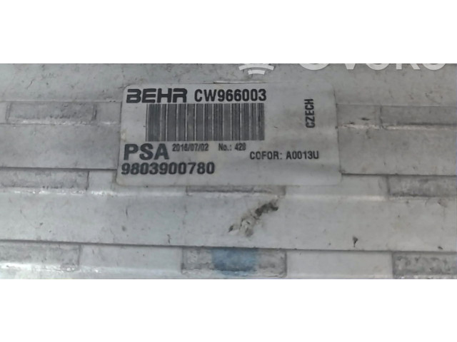 Vstřikovač 9803900780   Peugeot 208    EB2DT_HNZ 