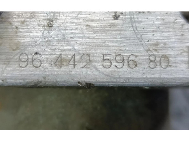 Jednotka ABS 0265216543   Peugeot 406 