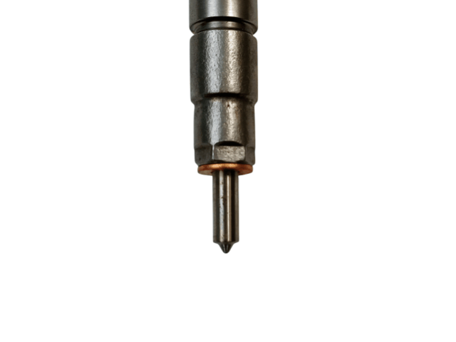 Форсунка 0445110108, 0986435055    Mercedes-Benz G W463 2nd Gen   