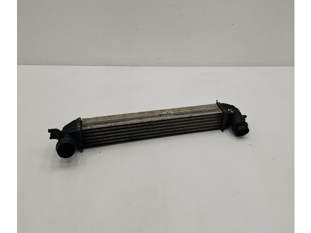 Интеркулер  8506904   Mini Paceman (R61) 
