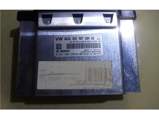 Řídící jednotka 4E907309AG, 261S09530   Volkswagen Beetle A5 2016