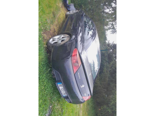 Звукоусилитель 9653556180, 9653556180    Peugeot 407  -  года