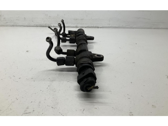 Vstřikovací lišta 0445214239, 0445214239   Fiat Punto Evo     
