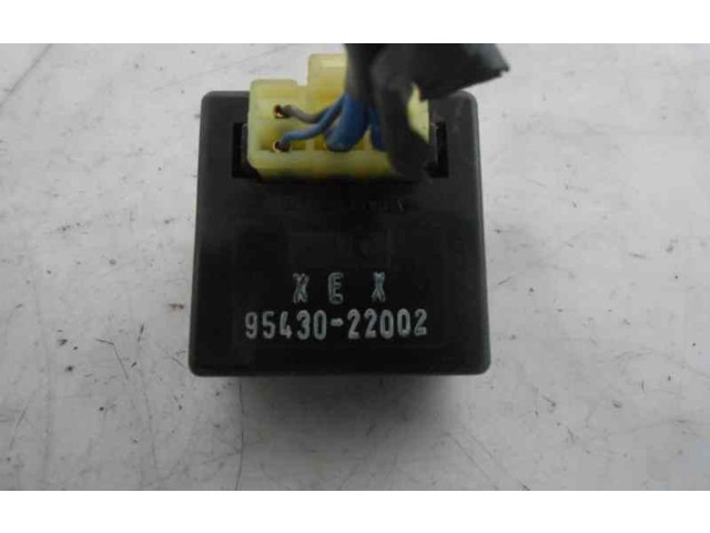   Pojistková skříňka 9543022002   Hyundai Accent 2003